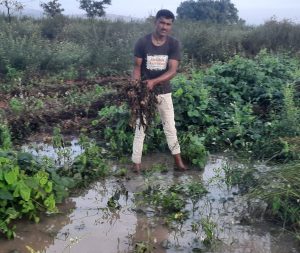 Submerged Crop field in Karnataka