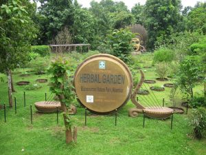 Nilambur Teak Museum. (Creative Commons)