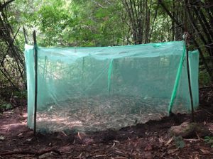 Mosquito net 