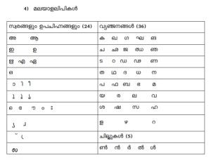 The 65-character script. (Supplied)