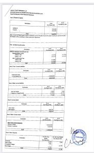 Balance sheet of Vizag Coast Resorts LLP which is now called Assure Estates Developers LLP