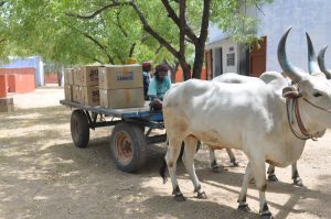 Boxes of packed crackers being transported from a manufacturing unit in Sivakasi. (Vasudevan Sridharan/South First)